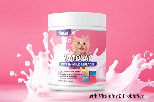 Vitolac Milk Replacer For Kitten