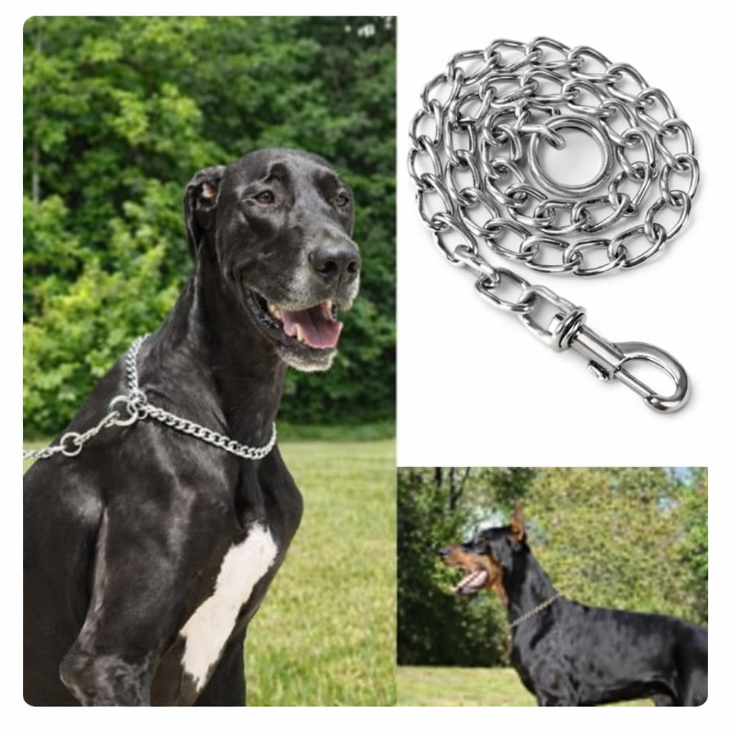 Puppy Choke Leash with Collar – Lightweight & Easy Control