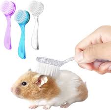 Hamster Brush – Gentle Grooming for Small Pets